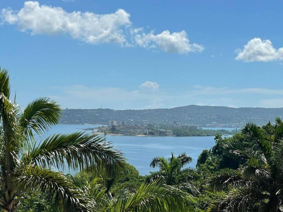 Spring Garden Mobay Resort Luxurious Apartments モンテゴ・ベイ エクステリア 写真