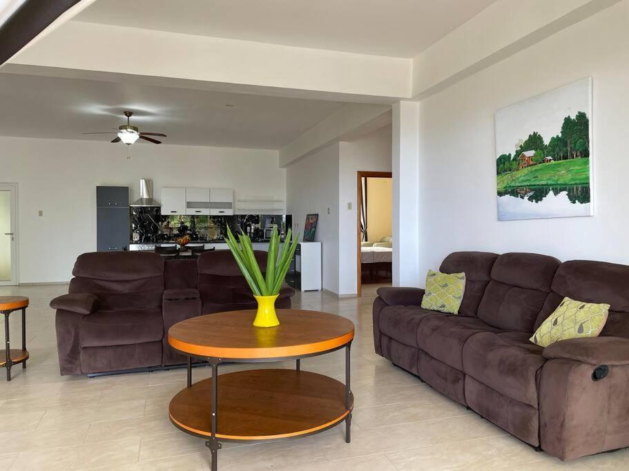 Spring Garden Mobay Resort Luxurious Apartments モンテゴ・ベイ エクステリア 写真