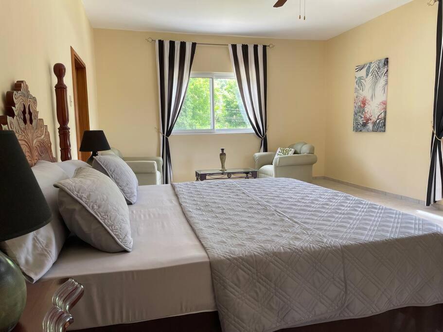 Spring Garden Mobay Resort Luxurious Apartments モンテゴ・ベイ エクステリア 写真