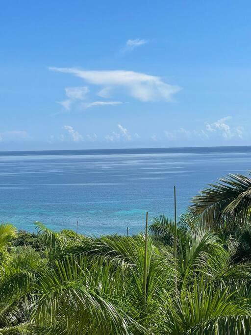 Spring Garden Mobay Resort Luxurious Apartments モンテゴ・ベイ エクステリア 写真