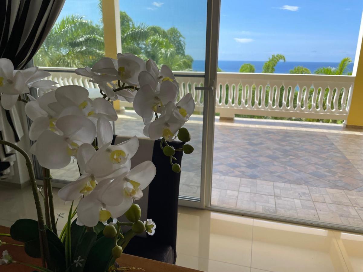 Spring Garden Mobay Resort Luxurious Apartments モンテゴ・ベイ エクステリア 写真